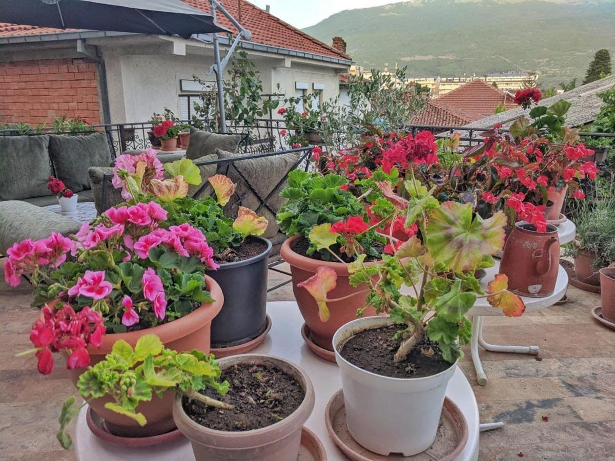 Apartments Evelyn Ohrid Kültér fotó